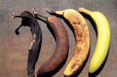 香蕉变黑怎么储存（香蕉容易腐烂吃不完就发黑）(6)