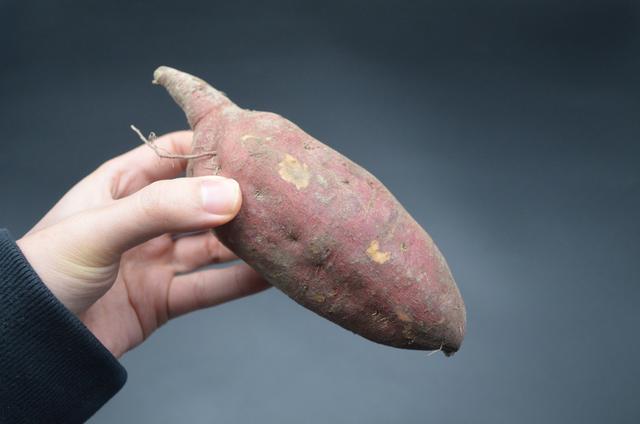 保存红薯最正确的方法（保存红薯有妙招）(1)