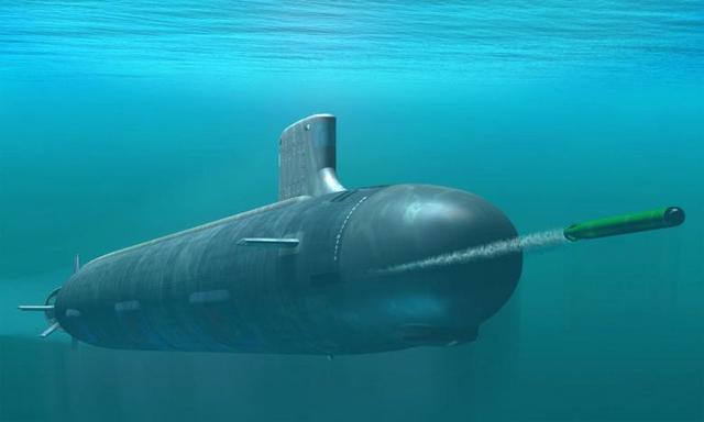 鲸鱼能潜上千米，为啥钢铁造的潜艇却不行 构造原因了解一下（鲸鱼能潜上千米）(1)
